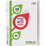 Ricambio Rambloc FSC 100 gr. 21x29,7 320 PGQ