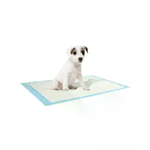10x Tappetini igienici assorbenti per cani gatti traverse per animali domestici