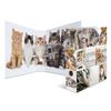 Cartella-con-motivi-HERMA-dorso-largo-7-cm-motivo-in-cartone-DIN-A4