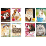Senza marca MAXI QUADERNONI A4 80gr - 4mm - Sweet Therapy (10PZ)
